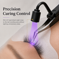 Lampe UV LED portable pour extensions de cils, rechargeable par USB, batterie intégrée, pas de pédale de commande requise