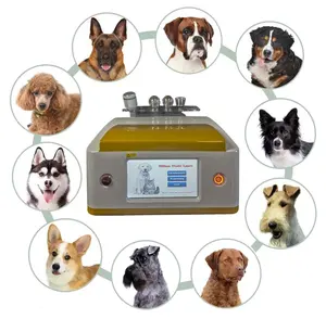 Vétérinaire B Cure Laser vétérinaire dispositif pour chien de compagnie cheval traitement de l'arthrite 980 nm équipements de physiothérapie