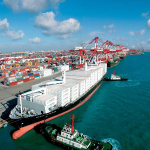 Hızlı teslimat profesyonel hava deniz ekspres Shopify nakliye ajan nakliye abd fransa almanya İtalya sipariş yerine otomatik - Product Image 2