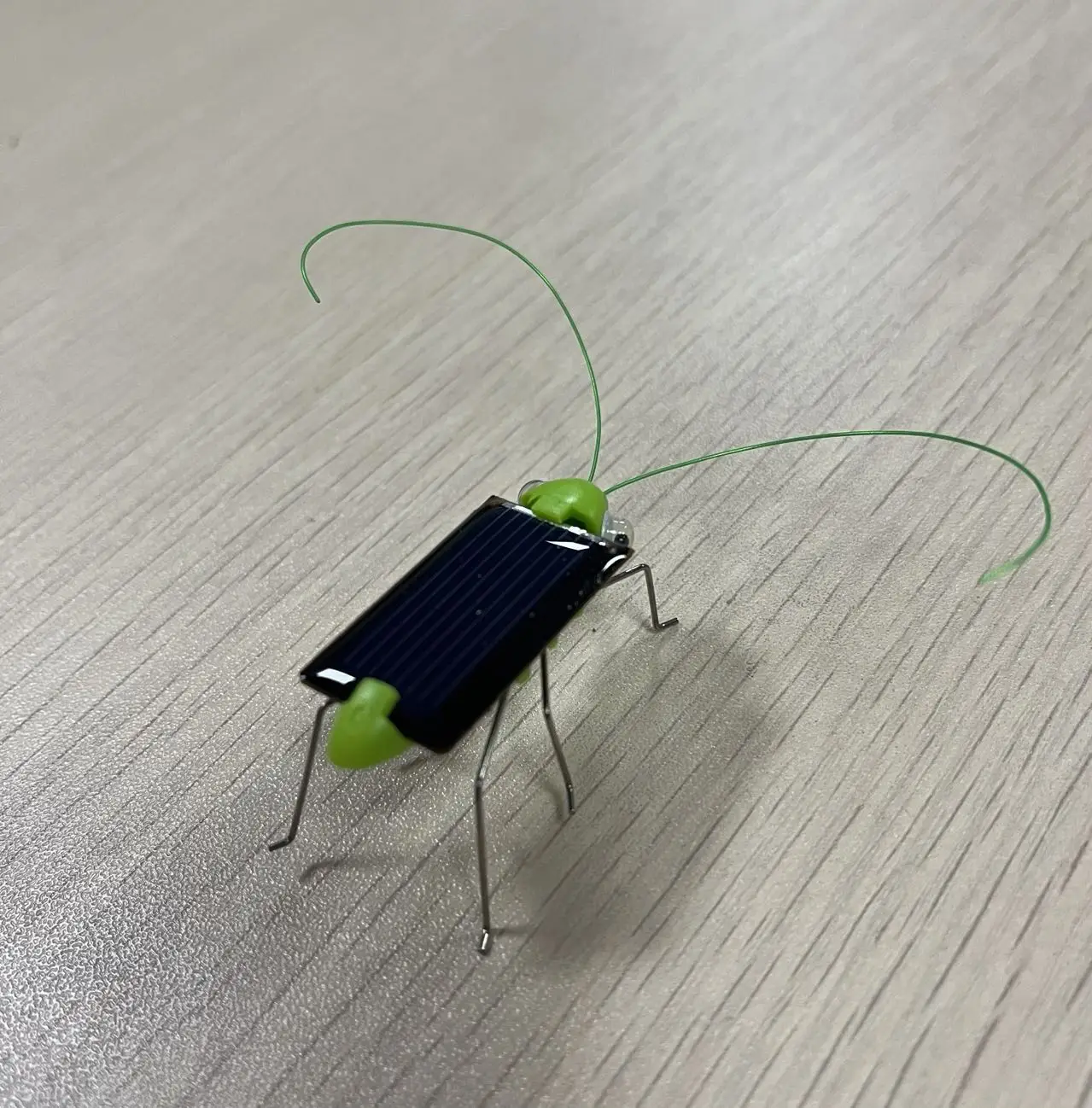 mini solar grasshopper /solar toy/educational toy for kids
