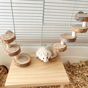 Échelle d'escalade pour hamster, jouet pour hamster syrien doré, à mâcher et à affûter les dents, escalier paysager, marches, plateforme ronde en bois massif - Product Image 3