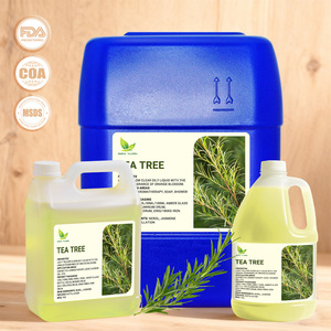 Biologische Gecertificeerde Pepermunt Eucalyptus Tijm Tea Tree Olie Puur Natuurlijke Oem Fabriek Levering Etherische Olie Voor Kaars Parfum Zeep - Product Image 5