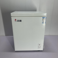 Congélateur horizontal à porte unique de 110 L pour usage domestique et commercial