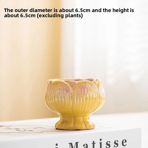 Vaso in ceramica per piante grasse con petali sfumati creativi, colorato, semplice, traspirante, lucido, piccolo vaso in stile nordico. - Product Image 3