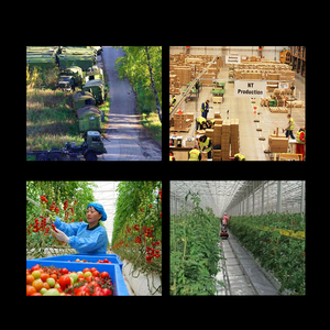 FOLO-4WD 200KGカスタマイズされた工業用4輪倉庫輸送ピッキングトロリーカート自動次トロリーロボット - Product Image 4