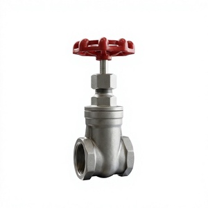 Vanne à opercule à vis en acier inoxydable commercial CF8 CF8M Classe 150 NPT - Product Image 1