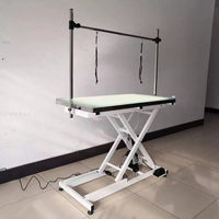 Table de toilettage électrique pour animaux de compagnie MT MEDICAL avec lumière LED, en acier inoxydable, étanche, pour hôpital vétérinaire, animalerie, grand chien