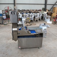 Hoge kwaliteit groente- en fruit-chipsnijder, -snijmachine en -slicer