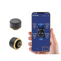 Capteur Tpms pour moto Capteur de pression des pneus sans fil de haute précision pour voiture, capteur de température bluetooth