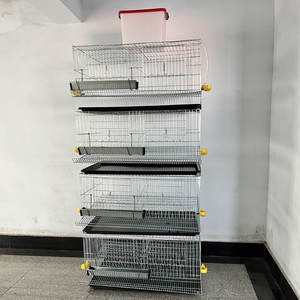 Cages à Cailles Commerciales à Prix Abordable pour l'Élevage de Cailles avec Système d'Abreuvement Automatique - Product Image 5