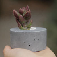 Design minimaliste moderne petit pot de fleurs personnalisable en gros jardinière en béton pour balcon jardin de bureau respectueux de l'environnement