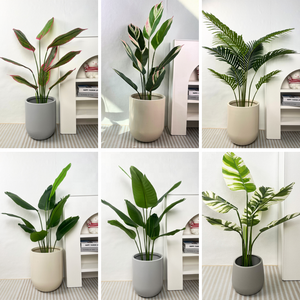 Usine pas cher prix maison plante jardin décoratif fournitures plastiques grands Pots <span class=keywords><strong>Pour</strong></span> Plantes - Product Image 6