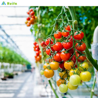 Nouvelle technologie de serre, système de culture hydroponique, serre agricole, serre à tomates à vendre