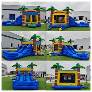 Castillo Inflable Comercial con Tobogán de Agua, Diseño de Palmera Tropical, Certificado CE, PVC, para Alquiler, OEM - Product Image 6