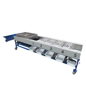 Best Quality Rolling Drum Big Hawthorn Fruit Grading Machine/Olive Cherry Cleaning Air Drying Graded Processing Equipment