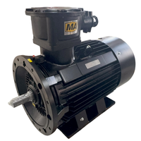 Motor Eléctrico a Prueba de Explosiones para Molino de Aceite, Compresor Centrífugo AC EX, 20/22kw, Kit de Motor Bldc E PMG