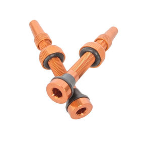 FR10C Small Bottom Aluminum Alloy Bicycle Presta <b>Valve</b> 36-100mm Length Premium <b>Tubeless</b> Bicycle Accessories - Product Image 3