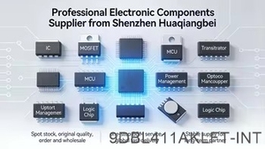 9DBL411AKLFT-INT ไอซีนาฬิกาและไอซีจับเวลา ชิปใหม่ของแท้พร้อมส่ง - Product Image 4