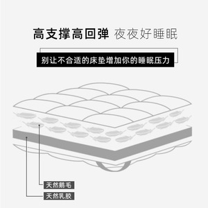 Surmatelas en latex et plumes d'oie blanches 180x200cm, doux, respirant, design minimaliste, pour chambre à coucher - Product Image 3