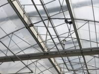 Serre en acier galvanisé à chaud multi-travées avec film plastique pour système hydroponique de culture de laitues et d'épinards