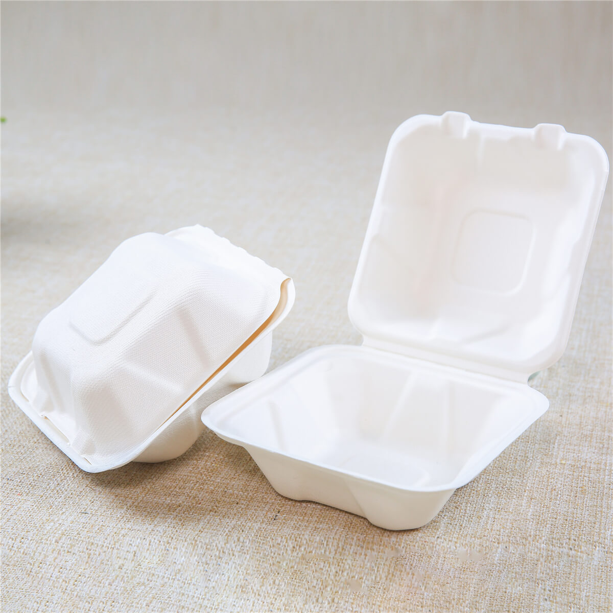 Biodegradable Clamshell Container Bento Box Double Layer