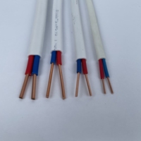 Kabel Tembaga Padat 2*0.75mm^2 300/500V Isolasi PVC Selubung PVC Kabel Rumah untuk Sambungan Peralatan Rumah Tangga