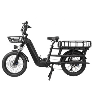 E-Bike Fat Tire a Scavalco Basso a 7 Velocità 500W 48V 20Ah, Bici Elettrica Fat Tire in Alluminio, Bici da Carico Elettrica - Product Image 4