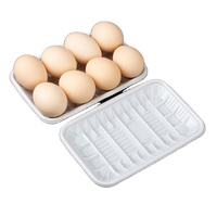 Usine de production, vente à prix réduit, barquettes jetables en plastique PP blanc pour fruits, légumes, volailles, viande, fruits de mer, différentes tailles