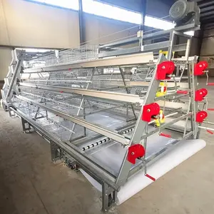 Modern Poultry Farm A Type Manual Poultry Metal Broiler Raising Chicken Cage With Manure Belt
