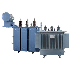 30KV 33kv หม้อแปลงไฟฟ้าแบบจุ่ม1000kva หม้อแปลงกระจายสามเฟส - Product Image 2