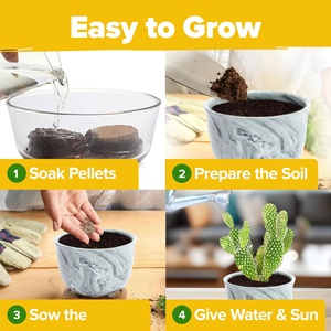 Kit Unico <span class=keywords><strong>per</strong></span> Giardino Interno con Vasi in Ceramica <span class=keywords><strong>per</strong></span> Succulente e Cactus, Terriccio, Vassoi Raccogligocce e Guida al Coltivazione - da Appendere al Pavimento - Product Image 3