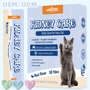 Nourriture humide pour chats très vendue, soin des reins, bandes aromatisées au canard avec du saumon, soin des reins UT Health, bâtonnets de nourriture humide pour tous les types de chats - Product Image 1