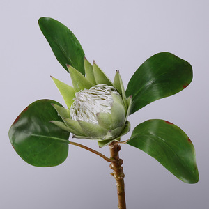 Fleur artificielle réaliste en tissu <span class=keywords><strong>de</strong></span> type King Protea, tige <span class=keywords><strong>de</strong></span> fleur tropicale pour décoration <span class=keywords><strong>de</strong></span> vase <span class=keywords><strong>de</strong></span> salon, événements et bouquets <span class=keywords><strong>de</strong></span> <span class=keywords><strong>mariée</strong></span> - Product Image 4