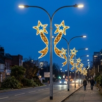 Lumières de Noël 2D à motif de poteau étoilé IP65 pour décorations de maison et de mariage en plein air pour les fêtes d'Halloween et de rue