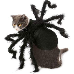 Costume d'araignée pour petits chiens et chats, déguisement de fête d'Halloween, fausse fourrure noire, vêtements pour animaux de compagnie de taille moyenne - Product Image 4