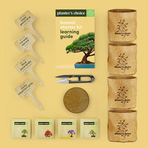 Maceta de cerámica <span class=keywords><strong>Bonsai</strong></span> Tree DIY Starter <span class=keywords><strong>Kit</strong></span> de jardín hidropónico con 13 piezas Herramientas de bambú para uso en el hogar y la guardería - Product Image 5