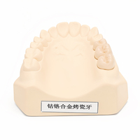 Alliage de Cobalt-Chrome Premium pour Modèles Dentaires en Porcelaine Fusionnée au Métal pour la Formation en Laboratoire Dentaire et la Démonstration en Clinique