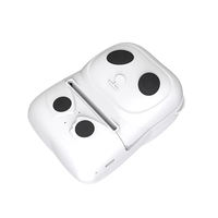 Printer Mini portabel 58mm desain Panda, Printer seluler nirkabel dapat dicetak Label foto saku portabel Printer termal Mini