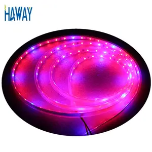 Hot Bán IP65 Nhà Kính Cây Giống Đèn Trong Nhà Hydroponic 12V DC 24V 2R 1B LED Strip Grow Lights