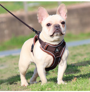 Nuovo Guinzaglio di Lusso Traspirante per Uso Esterno con Imbracatura Regolabile per Cani - Product Image 6