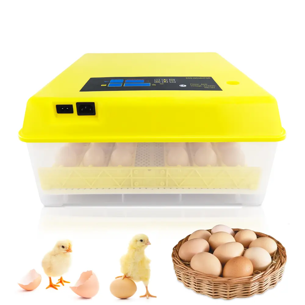 New design full automatic mini emu chicks egg incubator machine with chocadeira for breed HT-48 for sale