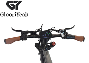 GYebike GYD2020 Dirt Bike With <b>Battery</b> 48v 750w 20nch and Front Fork With Front and Rear Disc - Product Image 3
