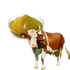 <span class=keywords><strong>Levure</strong></span> <span class=keywords><strong>de</strong></span> bière pour animaux <span class=keywords><strong>de</strong></span> compagnie poudre organique à haute teneur en fibres poudre <span class=keywords><strong>de</strong></span> protéine <span class=keywords><strong>de</strong></span> <span class=keywords><strong>levure</strong></span> <span class=keywords><strong>de</strong></span> bière - Product Image 3