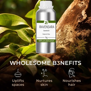 Aceite esencial orgánico 100% puro de Ravensara, aceite aromático de Ravensara para aromaterapia, cuidado de la piel - Product Image 2