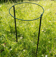 Piquets de Soutien Demi-Ronds Robustes pour Plantes, Lot de 5 pour Pivoines et Tomates, Meilleure Vente sur le Thème du Bricolage en Jardin