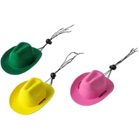 Tanpopo lindo sombrero de vaquero para perro gato ajustable Mini gorra diseño único Cosplay mascotas suministros personalizado disfraz vestido Accesorios