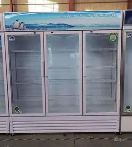 Macchina per bevande surgelate a basso prezzo tre porte in vetro frigorifero pepsi refrigeratore per bevande