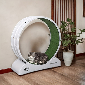 Wholesale Premium Wear-Resistant Plastic <strong>Cat</strong> Exercise <strong>Wheel</strong>, Interactive Pet Training Toy - Product Image 4