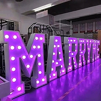 Lettres et chiffres lumineux en tôle galvanisée LED multicolores pour mariages, anniversaires, publicité, décoration, alimentation DC