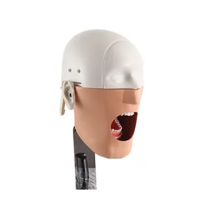 Dental Manikin Phantom Head Dental Simulator Manikin For Teaching Dental Simulator Phantom Head